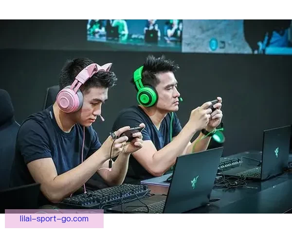 以利来真人娱乐：全新娱乐平台带您体验极致游戏与激情冒险